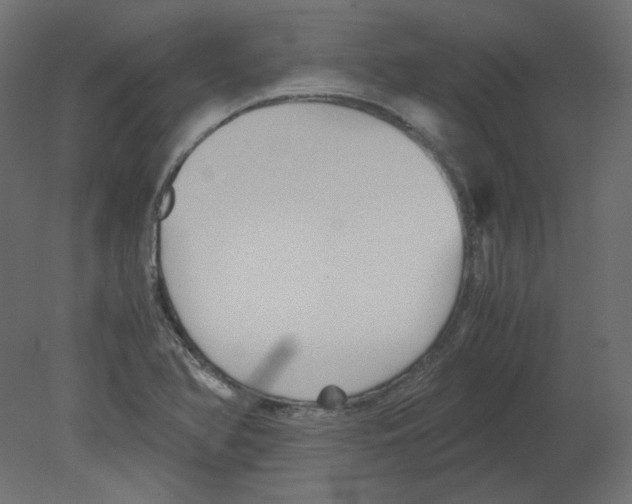 X0000080661366200701121555