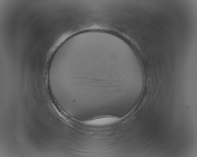 X0000080661367200701121555