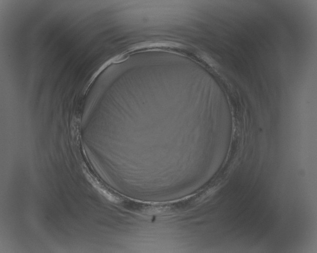 X0000080661369200701121555