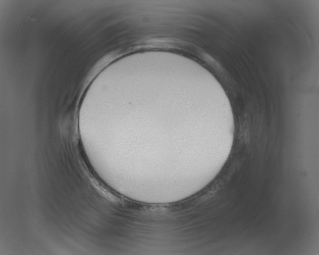 X0000080661370200701121555