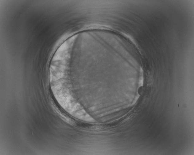 X0000080661371200701121555