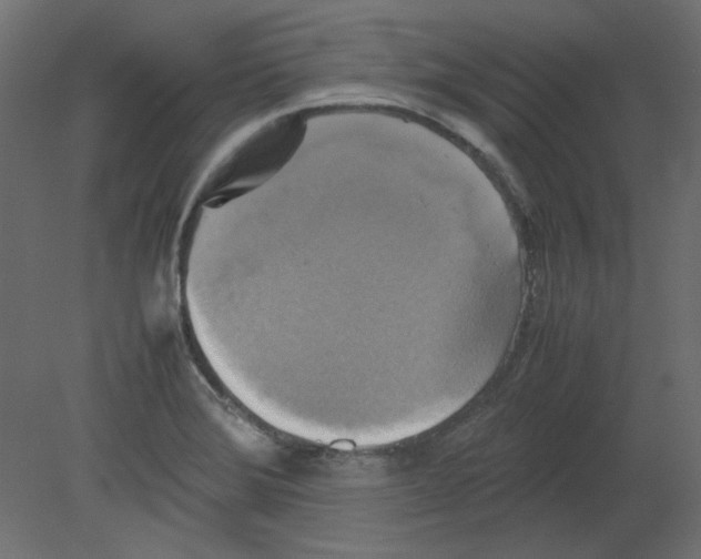 X0000080661372200701121555