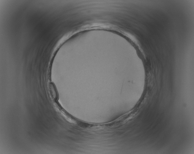 X0000080661373200701121555