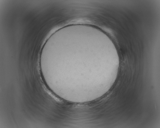 X0000080661374200701121555