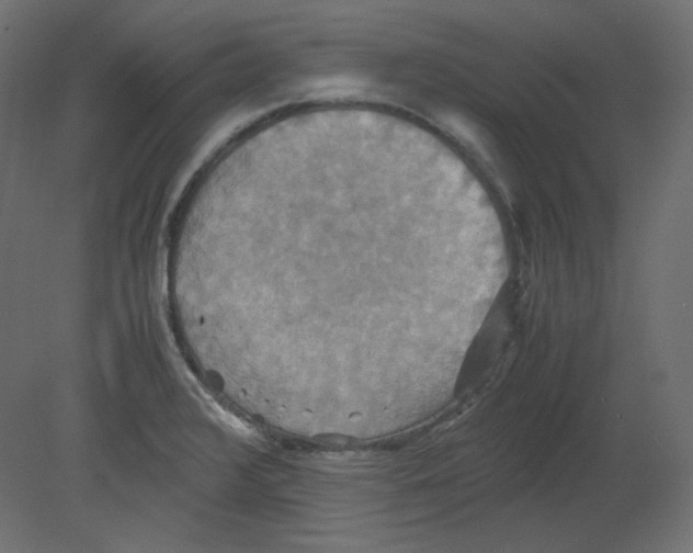 X0000080661376200701121555