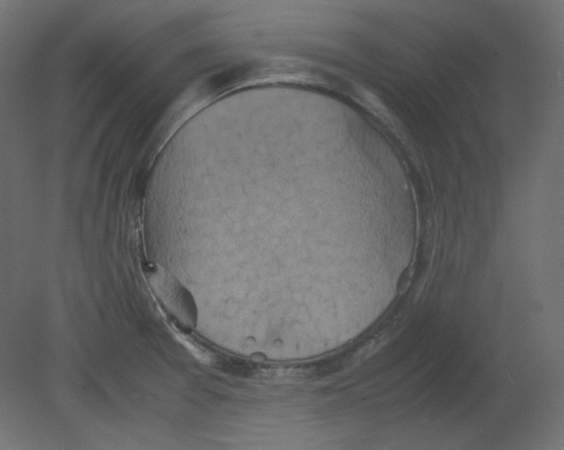 X0000080661377200701121555