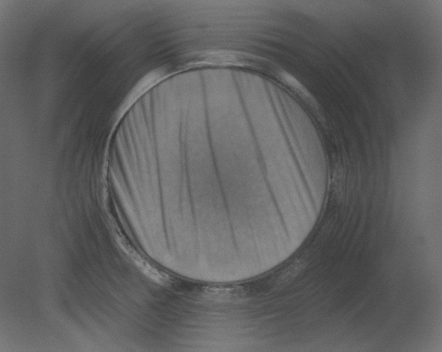 X0000080661378200701121555