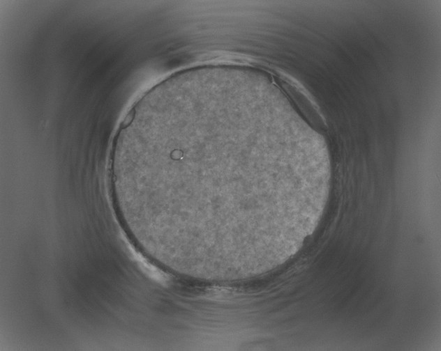 X0000080661379200701121555