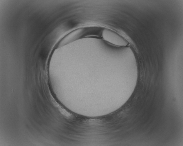 X0000080661380200701121555