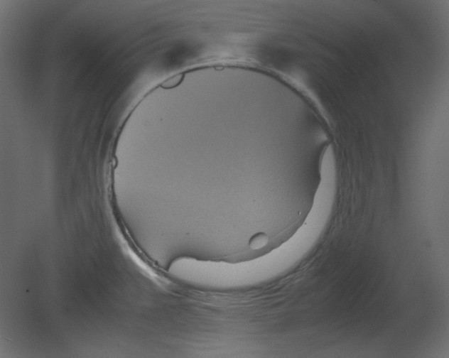 X0000080661383200701121555