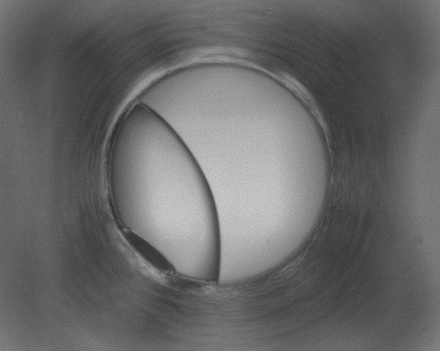 X0000080661384200701121555