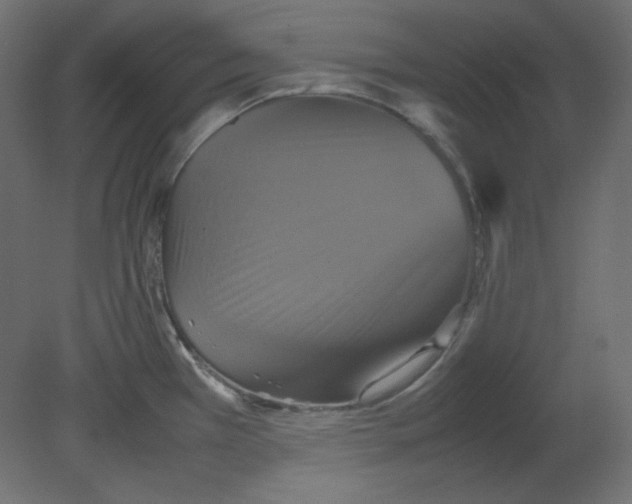 X0000080661385200701121555