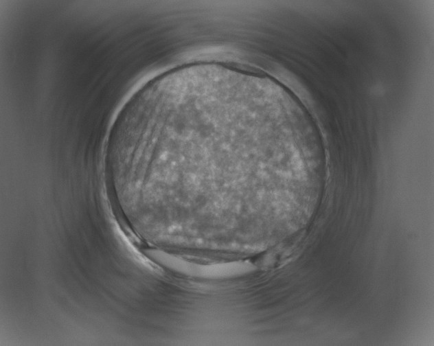 X0000080661392200701121555