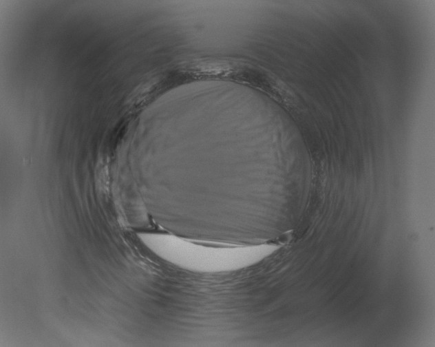 X0000080661394200701121554