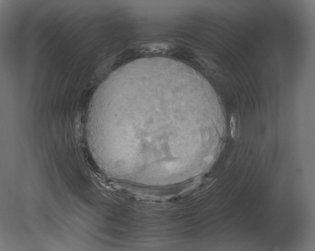 X0000080661395200701121554