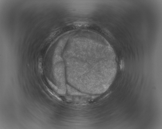 X0000080661396200701121554