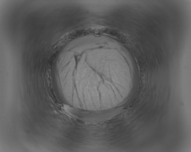 X0000080661397200701121554