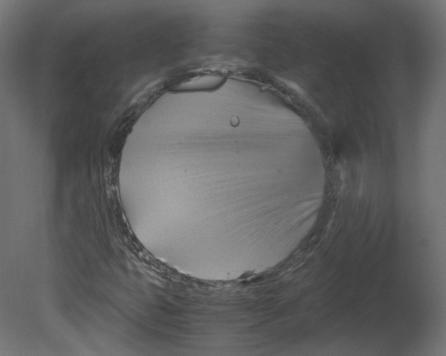 X0000080661399200701121554