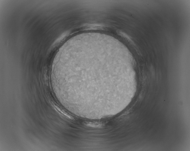 X0000080661403200701121554