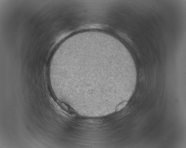 X0000080661404200701121554