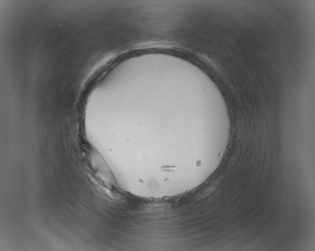 X0000080661406200701121554