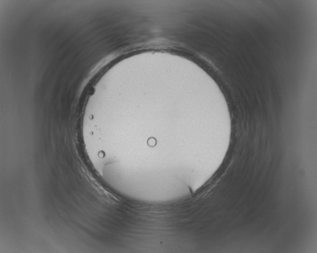 X0000080661410200701121554