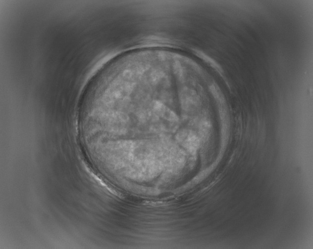 X0000080661415200701121554