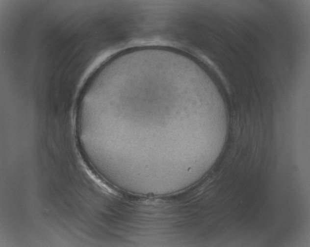 X0000080661416200701121554