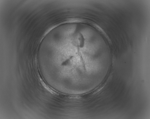 X0000080661417200701121554