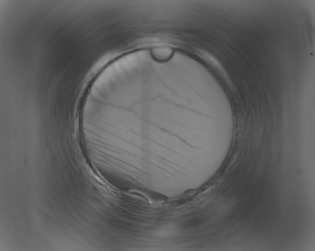 X0000080661419200701121554