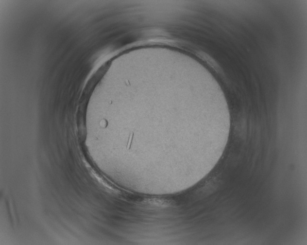 X0000080661420200701121554