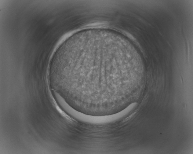 X0000080661421200701121554