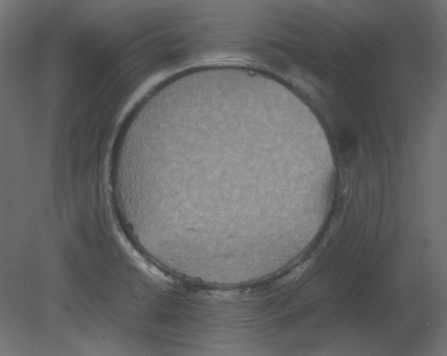 X0000080661422200701121554