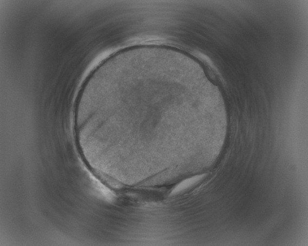 X0000080661424200701121554