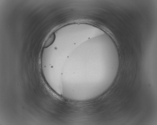 X0000080661428200701121555