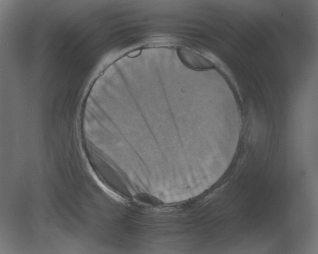 X0000080661429200701121555