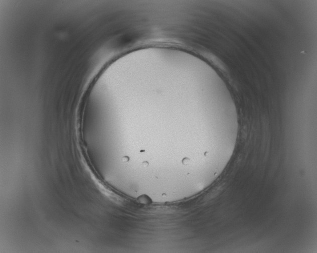 X0000080661430200701121555