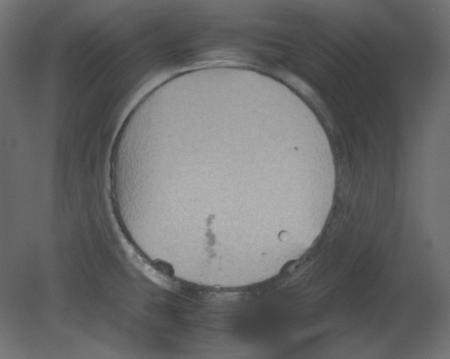 X0000080661431200701121555