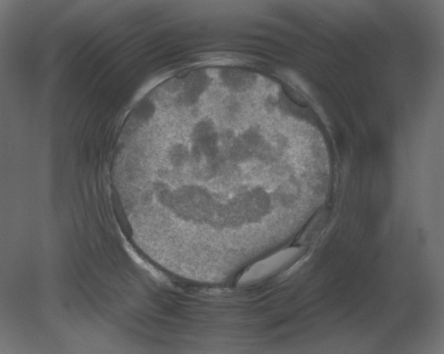 X0000080661433200701121555