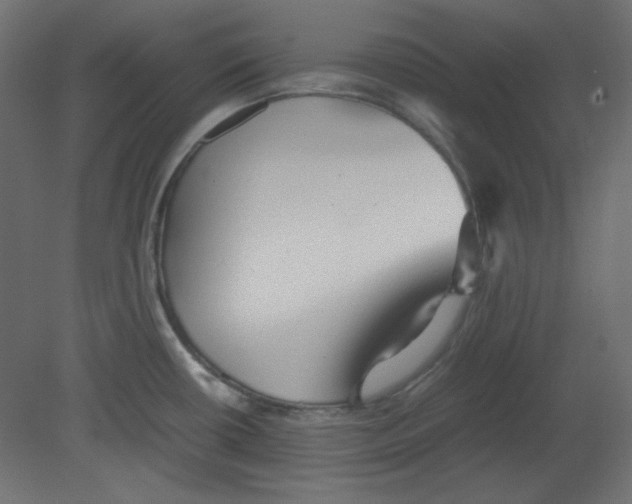 X0000080661434200701121555