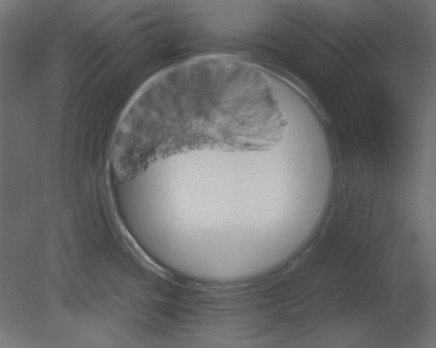 X0000080661436200701121555