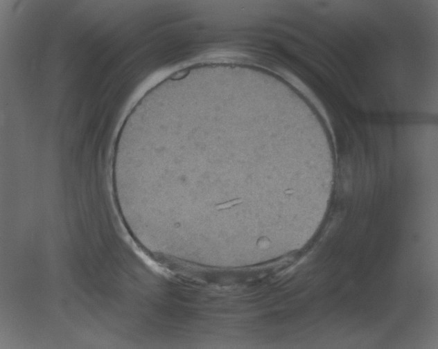 X0000080661437200701121555