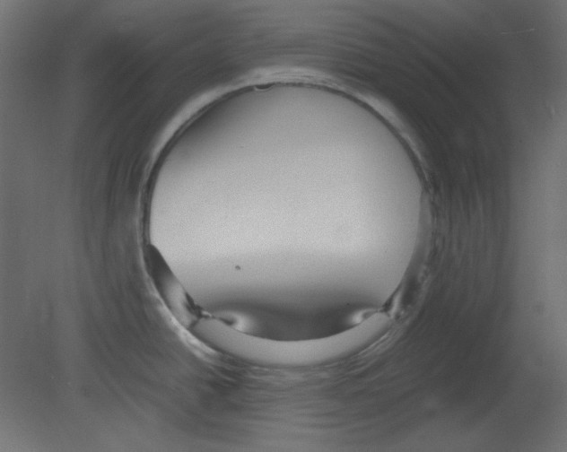 X0000080661438200701121555