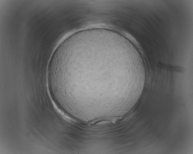 X0000080661439200701121555