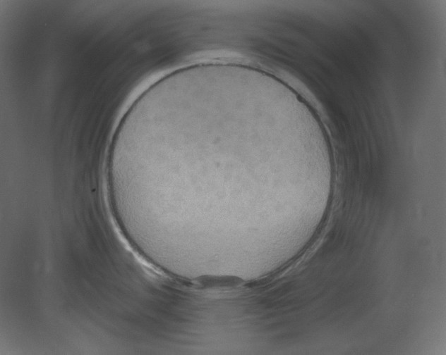 X0000080661440200701121555