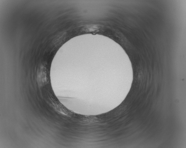 X0000080661442200701121554