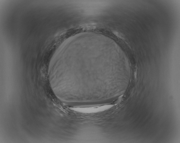 X0000080661445200701121554