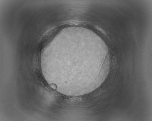 X0000080661446200701121554