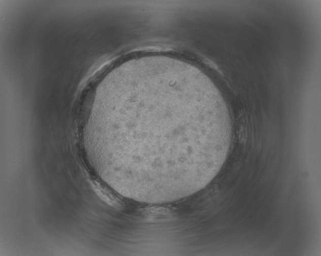 X0000080661448200701121554