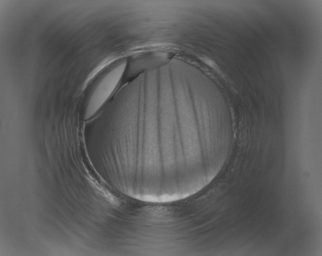 X0000080661450200701121554